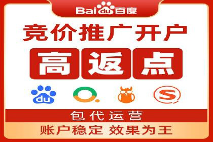 百度竞价排名策略解析：一家公司的广告投放策略全揭秘